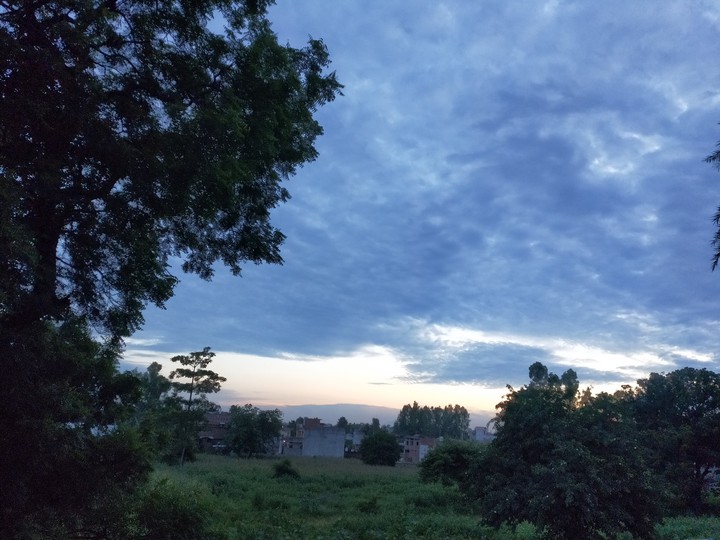Nature at its best