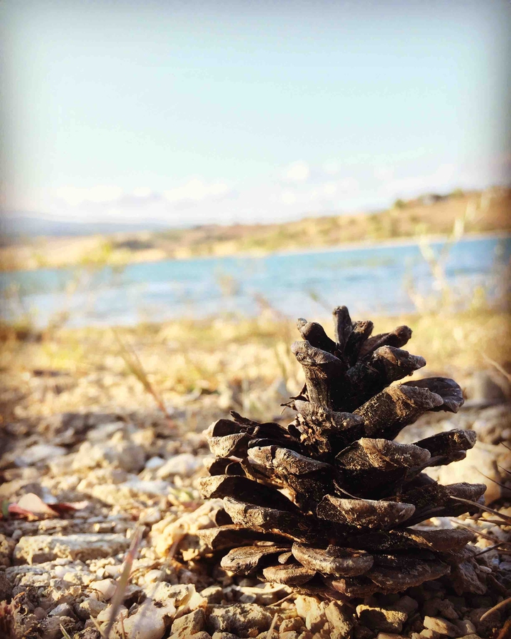 doğa