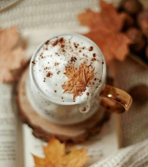 coffee
