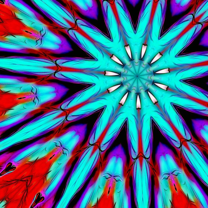butterflies and flowers remixed kaleidoscope