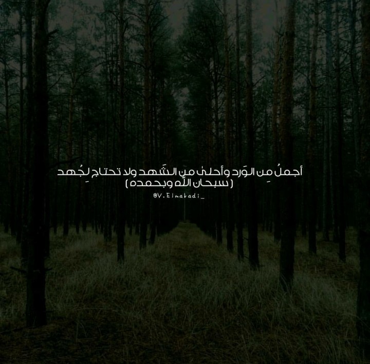 سـبحآن آللهہ‏‏ وبحمـدهہ‏‏