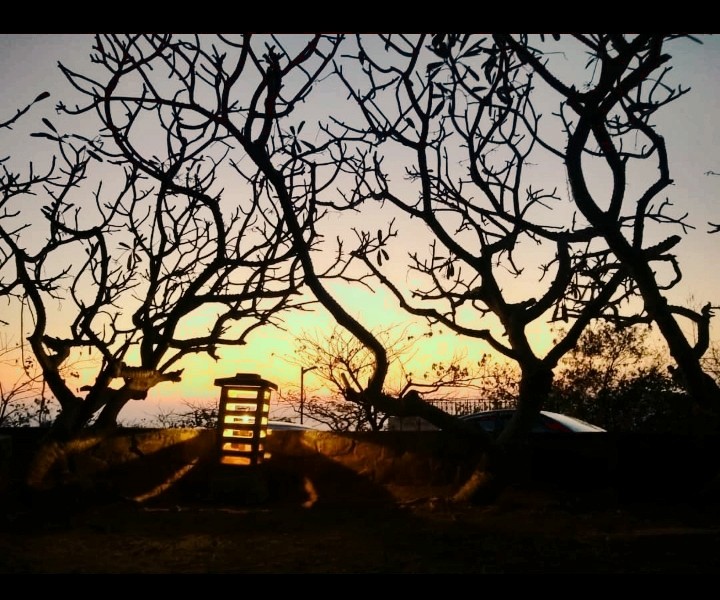 Close to Nature