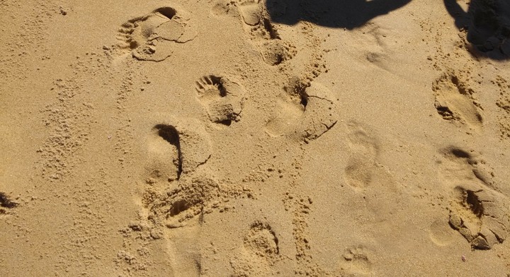 Just walk in the beach