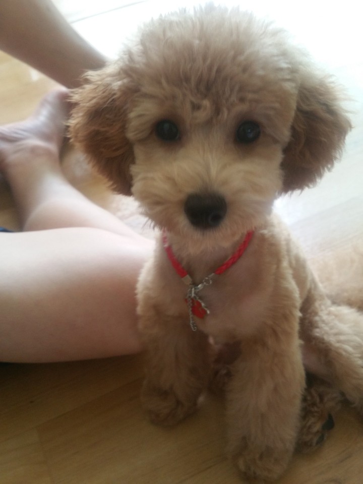 이슬이~~