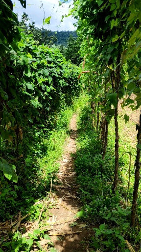 way to heaven