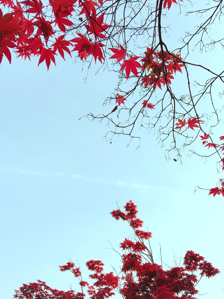 Fall