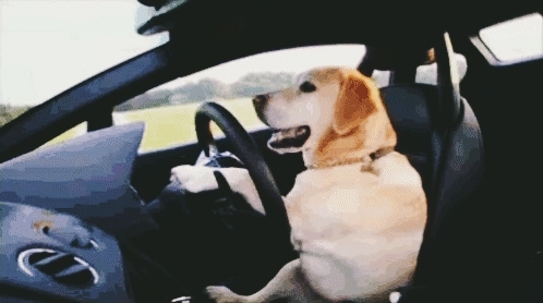 ?