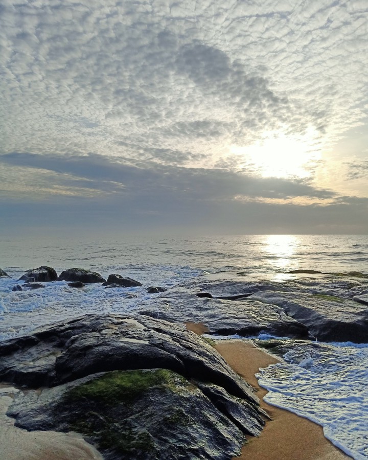 Blissful mornings