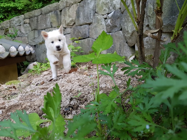 놀자구요