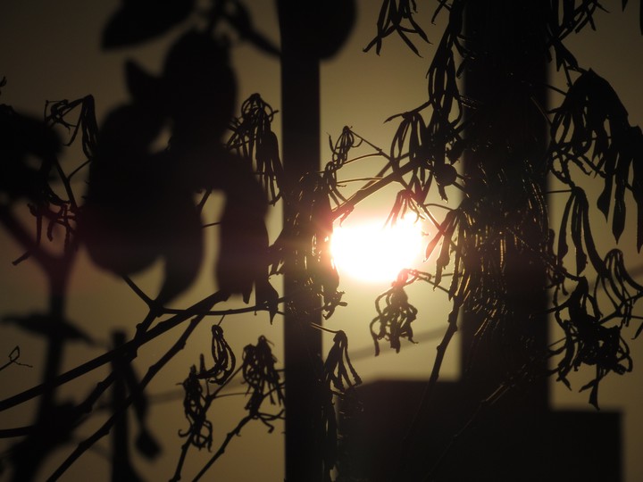 sun ?