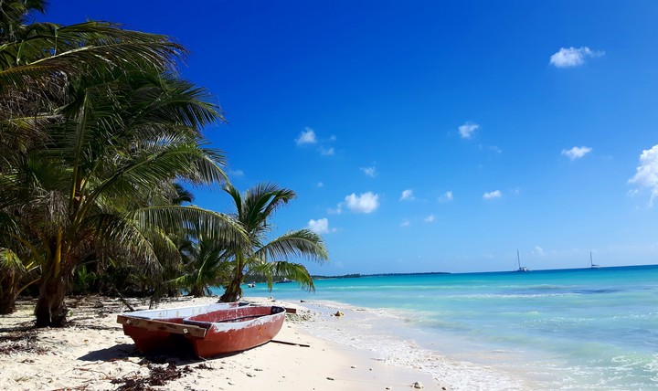 paradise