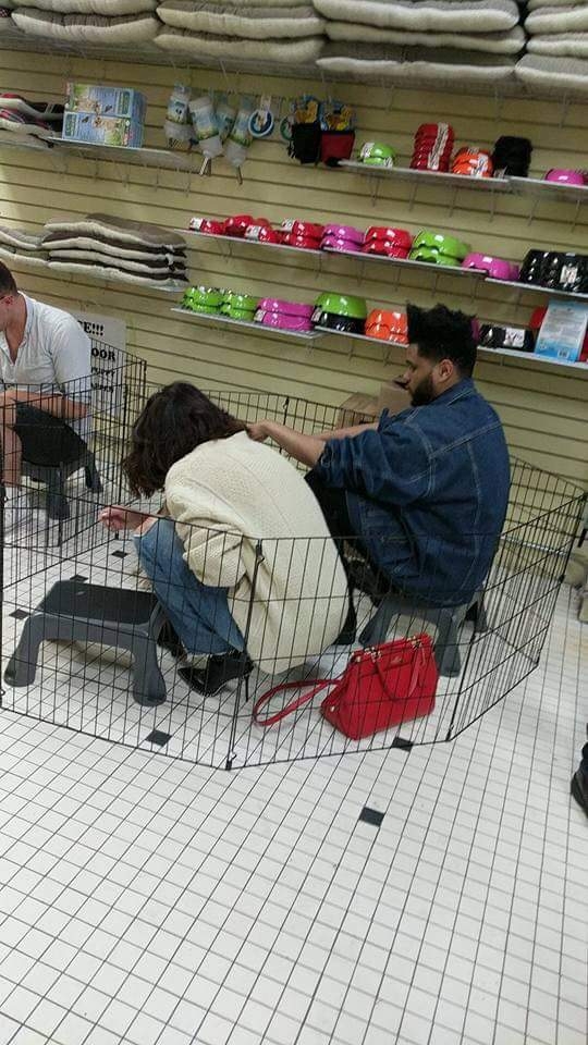selena gomez and the weeknd