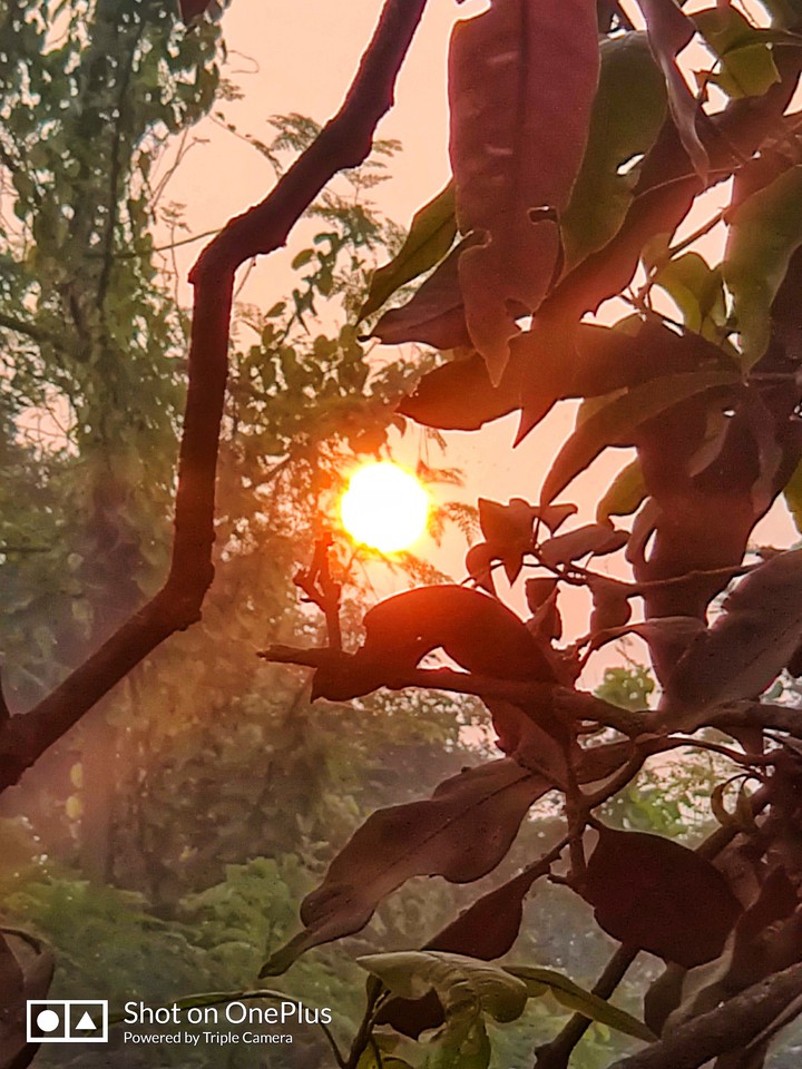 sunrise