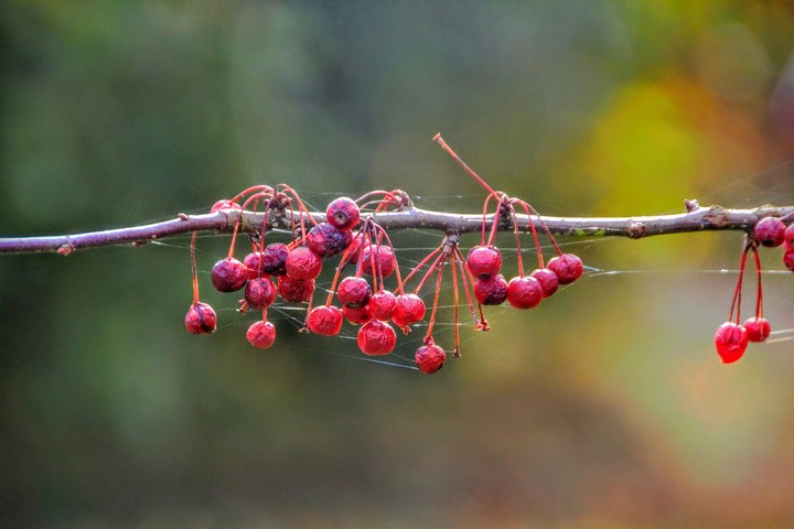 Fall..