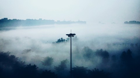 the fog