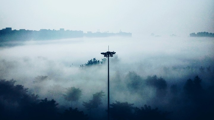 the fog