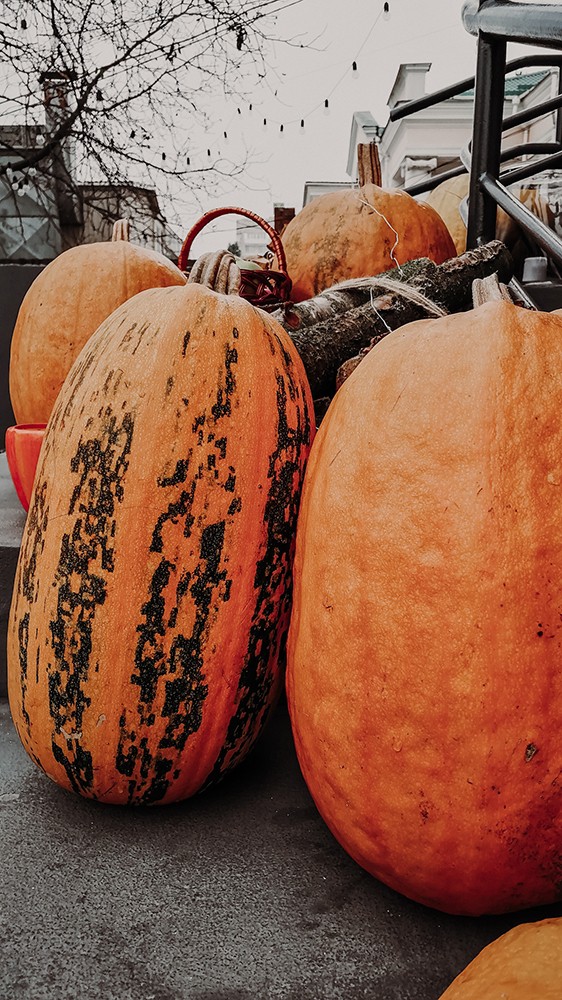 Flifrty pumpkins