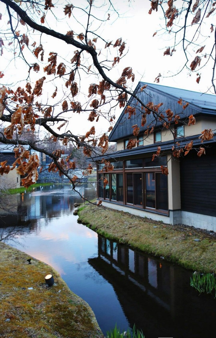 Japan is truly amazing