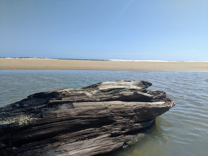 wooden shore