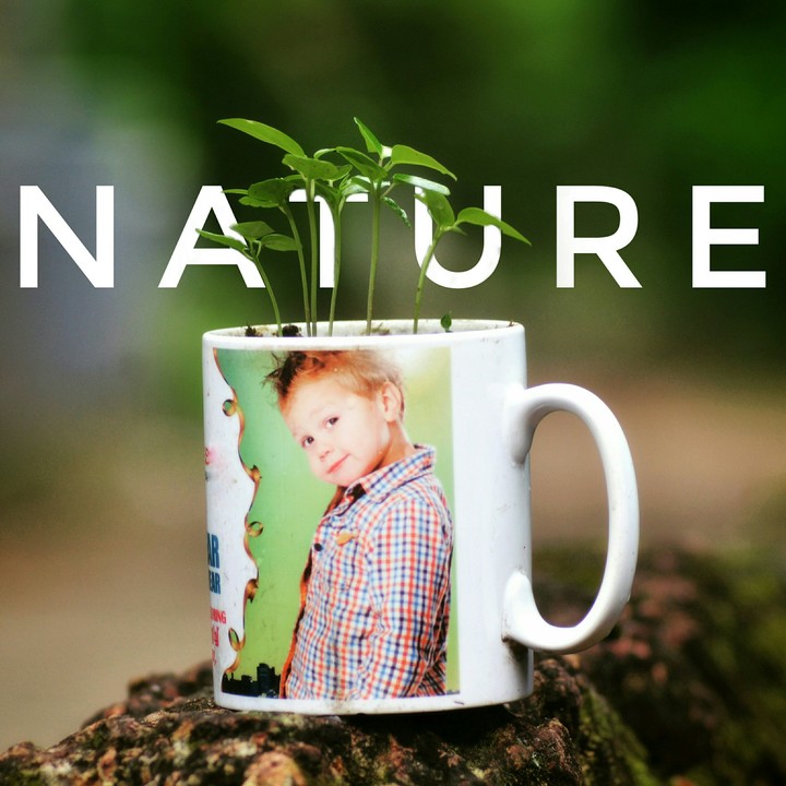 coffee mug