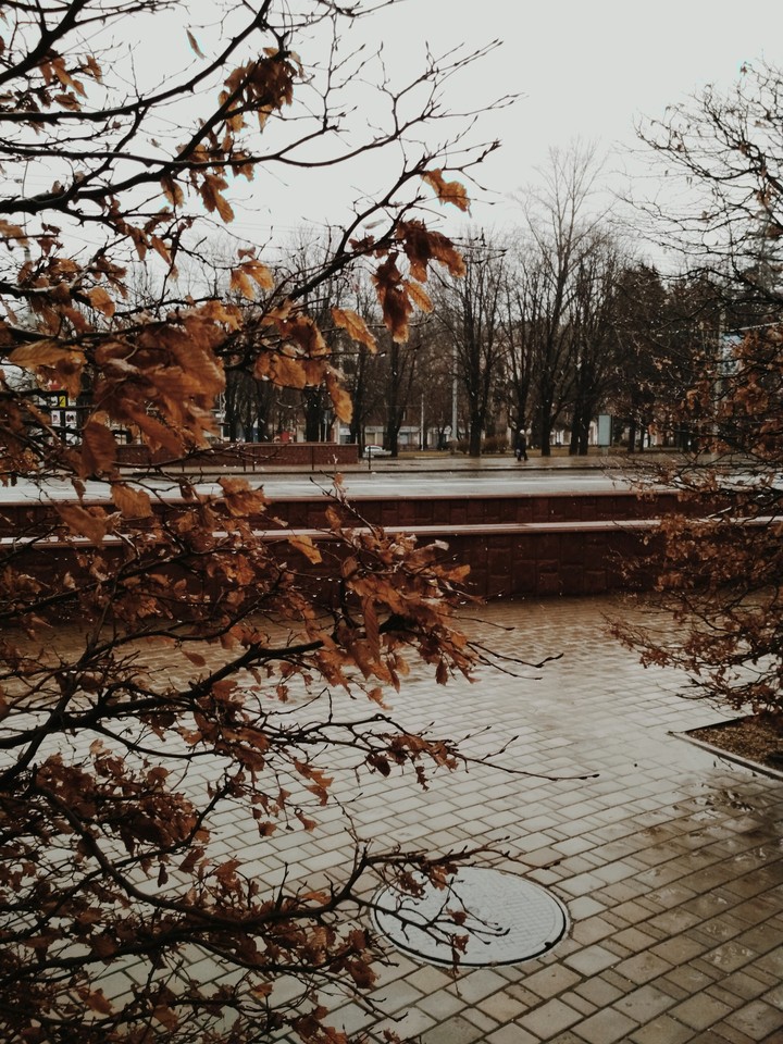 rain in Donetsk