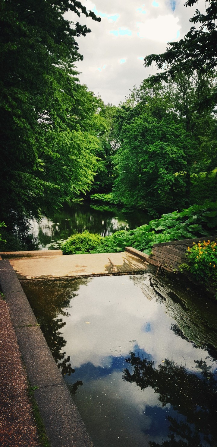 Nature