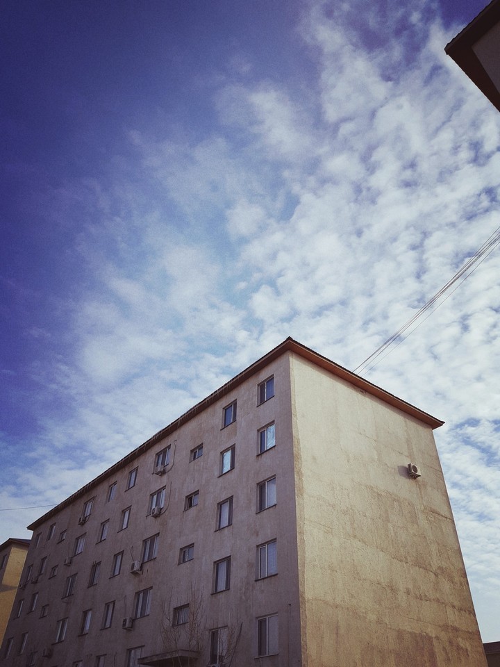 druzhba