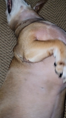 silly girl