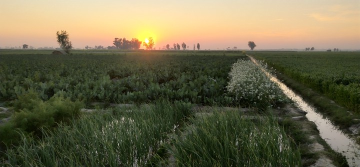 nice evening seen