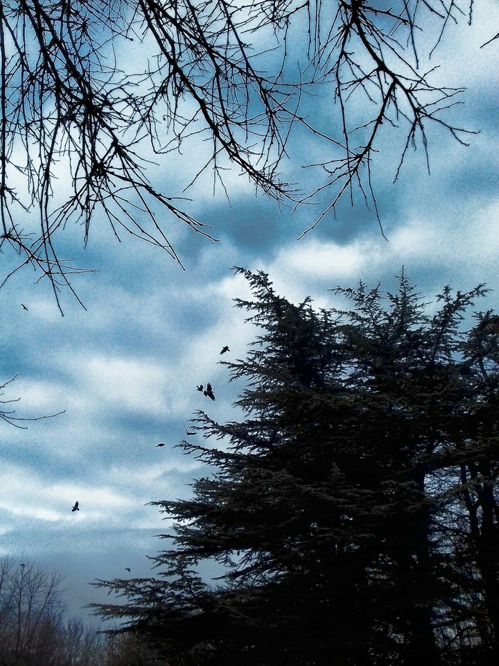 Nature