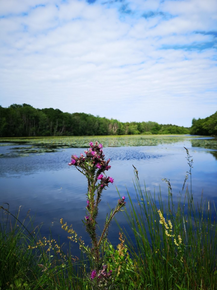 balade au fil de l'eau