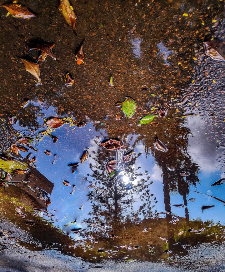 reflection