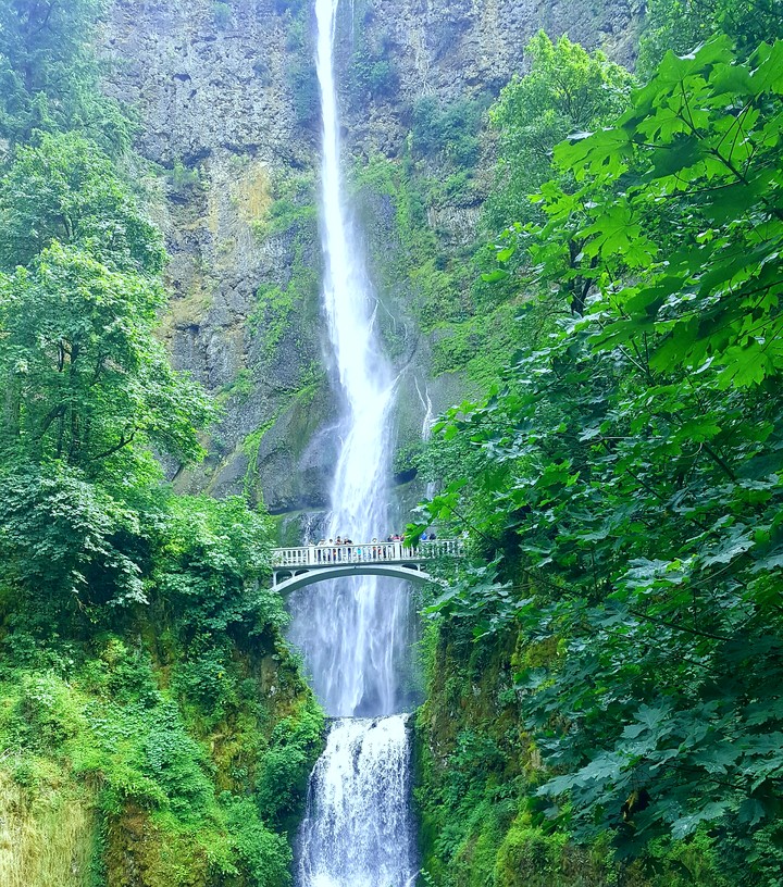 Multnomah Falls, Oregon