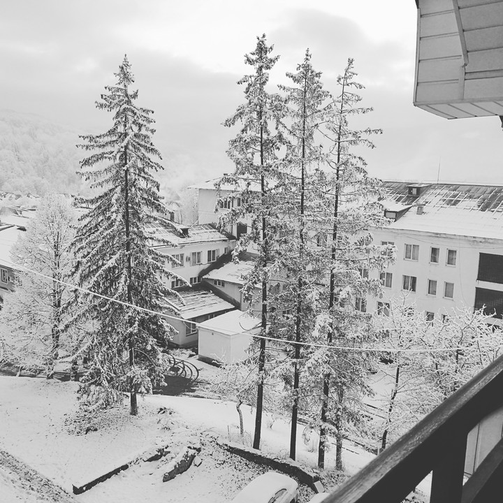 winter under the sky