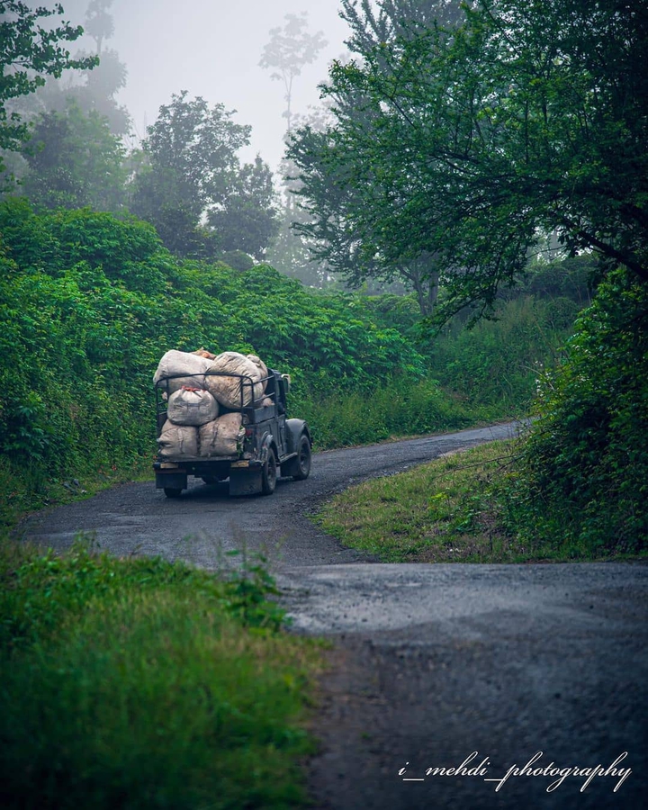 Amlesh Nature