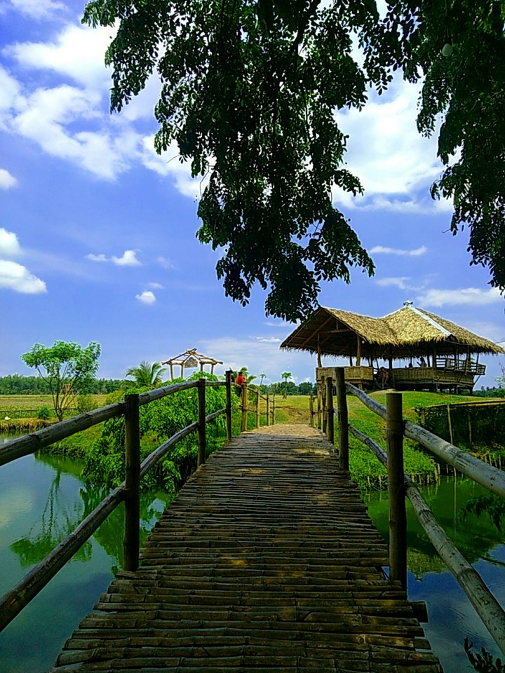 the farm