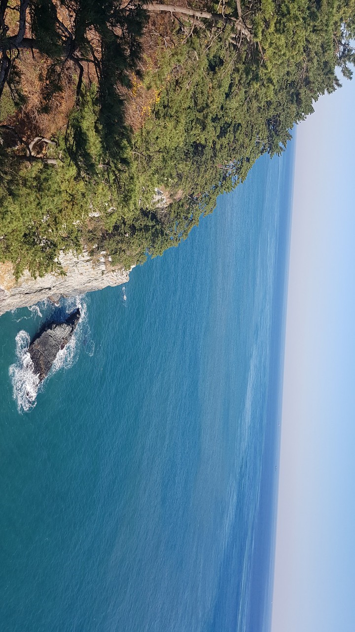 sea