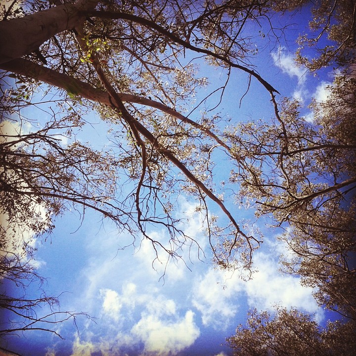 #nature