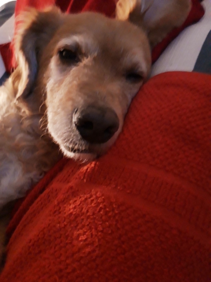 DUKE rêve