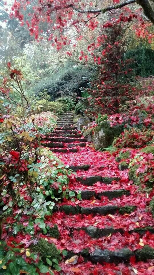 nature beauty