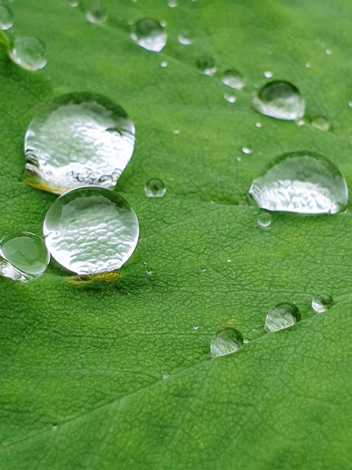 waterdrop