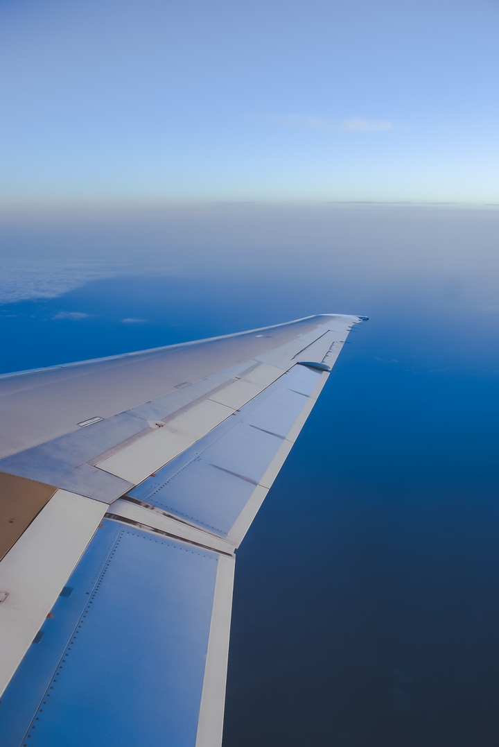 wing