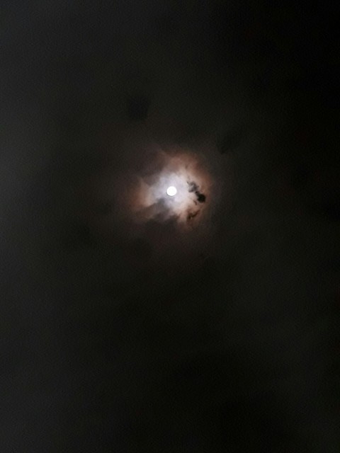 lll