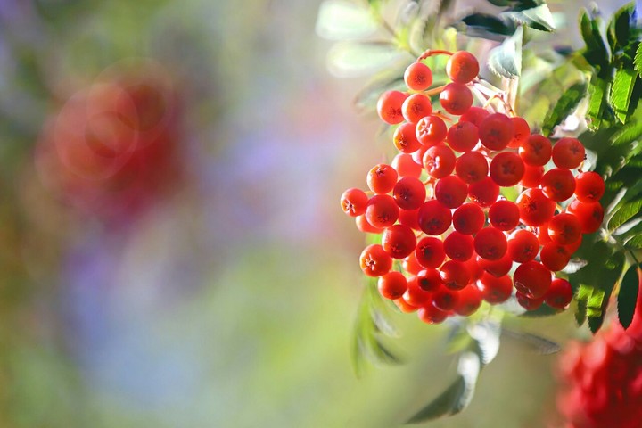 for you