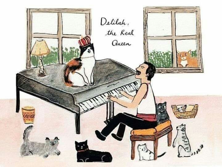 The piano cats