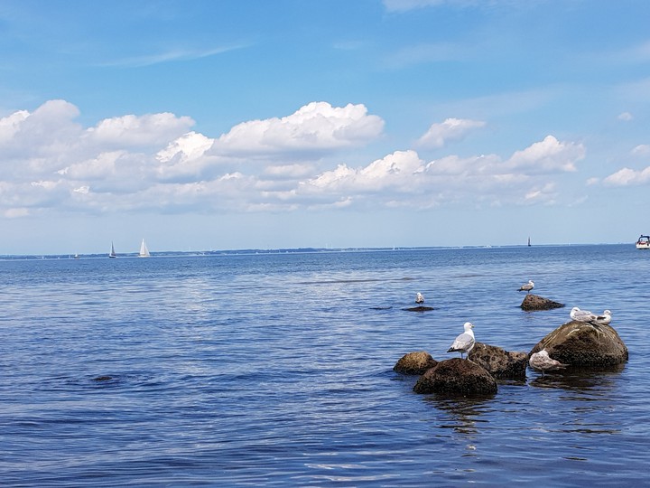 sea