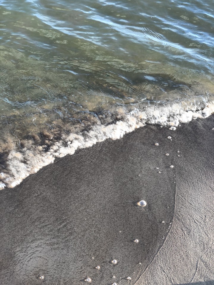 sea?