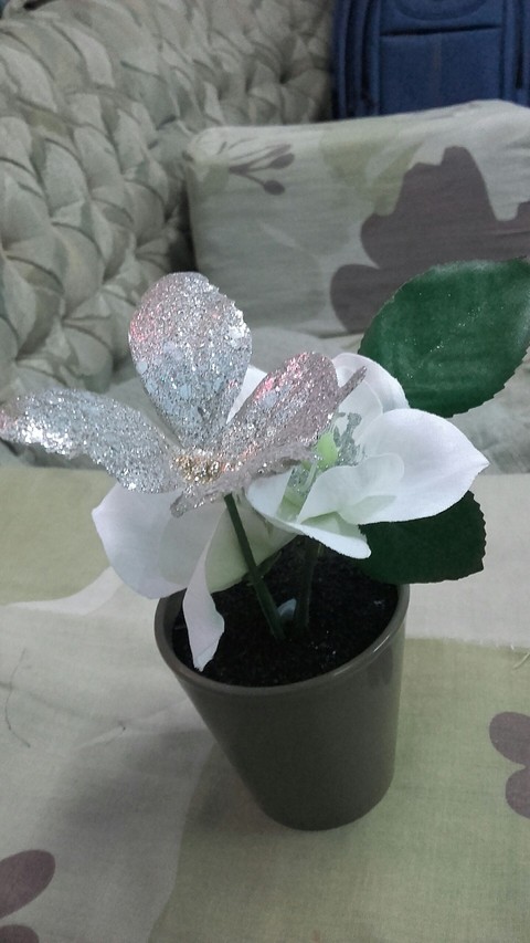 flower pot