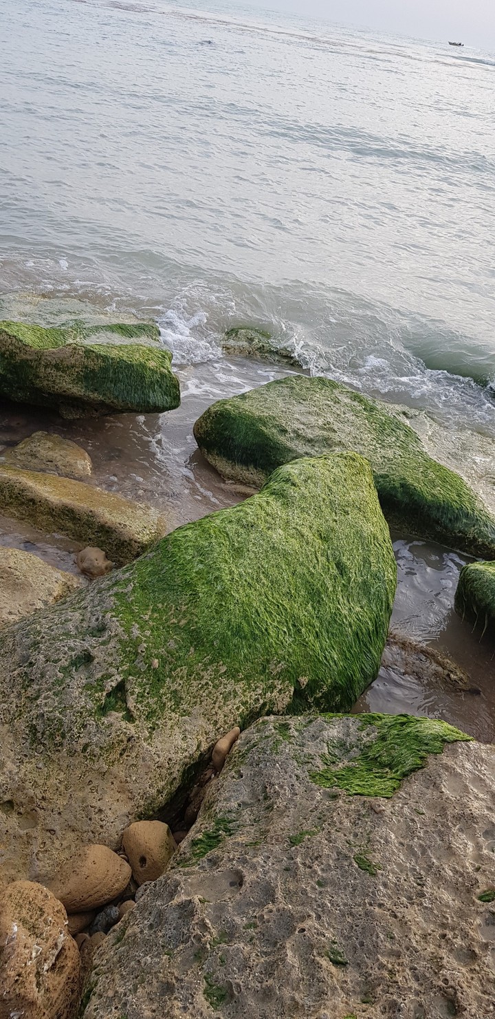 shore