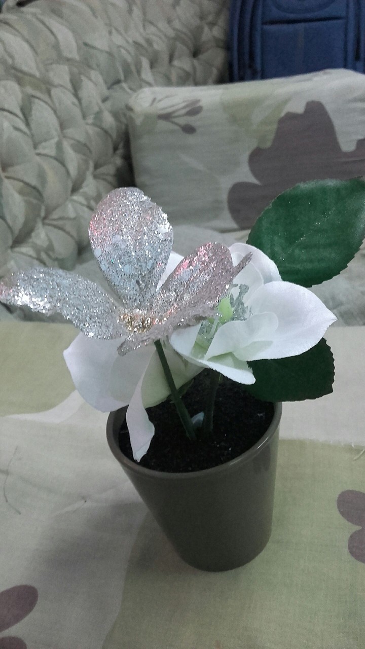 flower pot